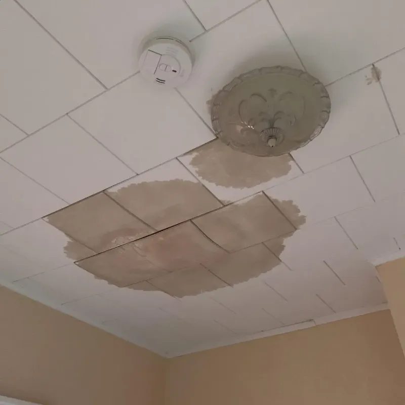 Ceiling Water Damage Repair in Marshall County, SD