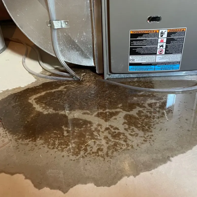 Pipe Burst and Leak Restoration in Marshall County, SD